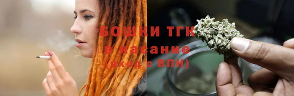 крисы Вязьма