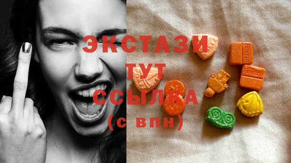 крисы Вязьма