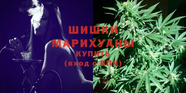 крисы Вязьма