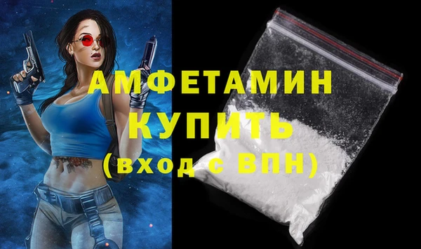 крисы Вязьма