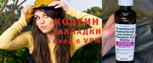 крисы Вязьма