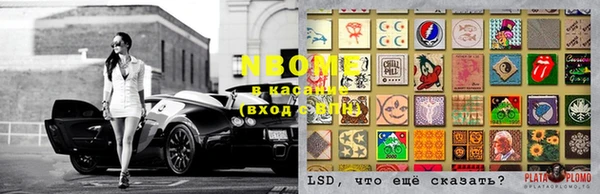 крисы Вязьма