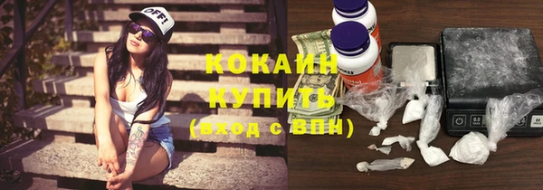 крисы Вязьма