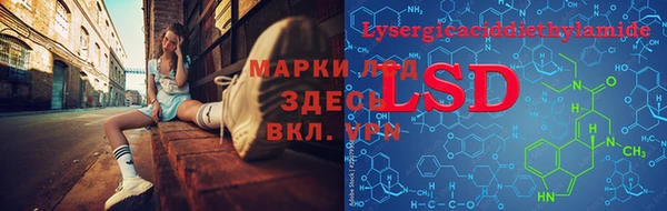 крисы Вязьма