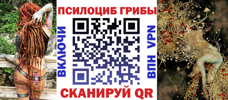 как найти закладки  Чебоксары  Псилоцибиновые грибы Psilocybine cubensis 